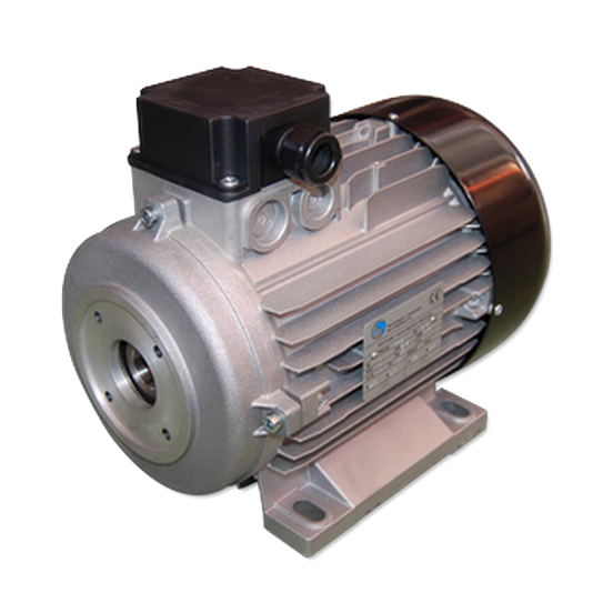 motor-eléctrico-eje-hueco motor-eléctrico-eje-hueco